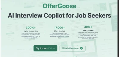 Screenshot of OfferGoose